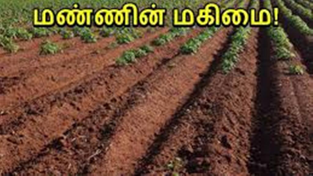 மண்