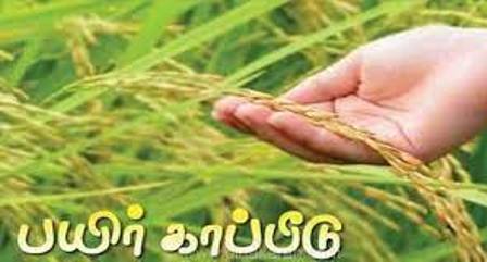 புதுக்கோட்டை