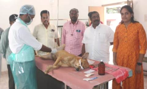 வேலூர்