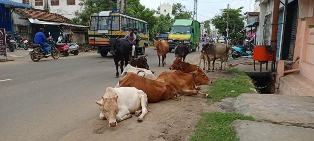 புதுக்கோட்டை