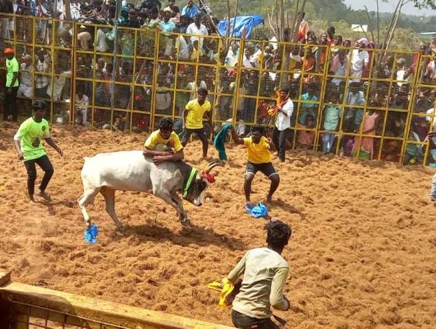 புதுக்கோட்டை